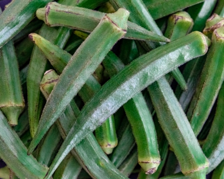 BHINDI MASALA